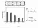 Fig. 16 - Functional platform for rapid capture and removal of nanoparticles