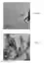Fig. 06 - Producing Calcium Phosphate Compositions
