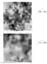 Fig. 08 - Producing Calcium Phosphate Compositions