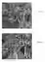 Fig. 09 - Producing Calcium Phosphate Compositions