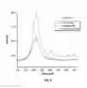 Fig. 06 - Heterogeneous metal-free catalyst