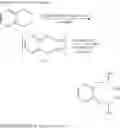 Fig. 09 - Process for the preparation of esters by means of carbonylation of ethers