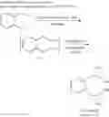 Fig. 07 - Process for the alkoxycarbonylation of olefins in a medium having a low Brønsted acid concentration