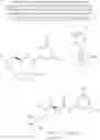 Fig. 89 - Process and intermediates for the preparation of NEP inhibitors