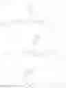 Fig. 131 - Polymerizable compound and optical isomer