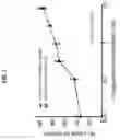 Fig. 02 - Compounds and methods for preventing or treating sensory hair cell death