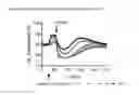 Fig. 01 - STABILIZATION ADRENOMEDULLIN DERIVATIVES AND USE THEREOF