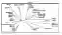 Fig. 02 - COMPOSITIONS AND METHODS FOR GROWTH FACTOR MODULATION