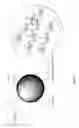 Fig. 02 - Microspheres of Hydrolysed Starch with Endogenous, Charged Ligands