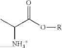 Fig. 09 - Microspheres of Hydrolysed Starch with Endogenous, Charged Ligands