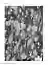 Fig. 02 - Block copolymer composition, molded material, resin composition, and molded product