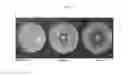 Fig. 02 - BORATE PRODUCED BY WET GRINDING, AND USE THEREOF