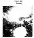 Fig. 06 - Synthetic surfaces for culturing stem cell derived oligodendrocyte progenitor cells