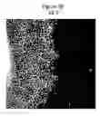 Fig. 07 - Synthetic surfaces for culturing stem cell derived oligodendrocyte progenitor cells