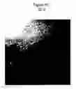 Fig. 08 - Synthetic surfaces for culturing stem cell derived oligodendrocyte progenitor cells