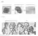 Fig. 02 - Method for culturing primary cells