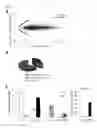 Fig. 02 - Long Non-Coding RNA For The Treatment Of Endothelial Dysfunction