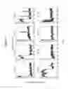 Fig. 06 - Arrays for single molecule detection and use thereof