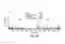 Fig. 09 - Systems and methods for epigenetic sequencing