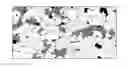Fig. 01 - HOT-ROLLED STEEL SHEET