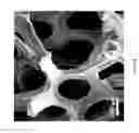 Fig. 85 - ELECTROCATALYTIC HYDROGEN EVOLUTION AND BIOMASS UPGRADING