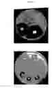 Fig. 08 - ANTIMICROBIAL FIBERS AND COMPOSITIONS