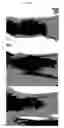 Fig. 14 - ANTIMICROBIAL FIBERS AND COMPOSITIONS