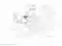 Fig. 01 - DOUBLE-HEAD DRAINAGE PUMP OF WASHING MACHINE