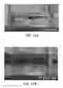 Fig. 33 - Fluid-based gating mechanism with tunable multiphase selectivity and antifouling behavior