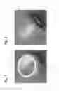 Fig. 02 - Thread protector