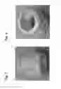 Fig. 06 - Thread protector
