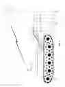 Fig. 05 - Electro-discharge system for neutralizing landmines