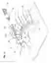Fig. 19 - Hand-held measurement device for capturing the visual impression of a measurement object