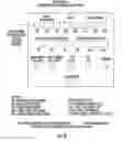 Fig. 09 - DEVICES AND METHODS FOR DETECTION OF COUNTERFEIT OR ADULTERATED PRODUCTS AND/OR PACKAGING
