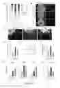 Fig. 10 - Development of ABCG2-Sensitive Fluorescent Probe For Isolation of ABCG2low Neural Stem/Progenitor Cells