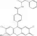 Fig. 18 - Development of ABCG2-Sensitive Fluorescent Probe For Isolation of ABCG2low Neural Stem/Progenitor Cells