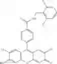 Fig. 20 - Development of ABCG2-Sensitive Fluorescent Probe For Isolation of ABCG2low Neural Stem/Progenitor Cells