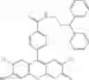 Fig. 22 - Development of ABCG2-Sensitive Fluorescent Probe For Isolation of ABCG2low Neural Stem/Progenitor Cells