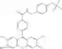 Fig. 23 - Development of ABCG2-Sensitive Fluorescent Probe For Isolation of ABCG2low Neural Stem/Progenitor Cells