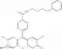 Fig. 24 - Development of ABCG2-Sensitive Fluorescent Probe For Isolation of ABCG2low Neural Stem/Progenitor Cells