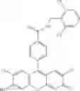 Fig. 25 - Development of ABCG2-Sensitive Fluorescent Probe For Isolation of ABCG2low Neural Stem/Progenitor Cells