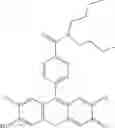 Fig. 26 - Development of ABCG2-Sensitive Fluorescent Probe For Isolation of ABCG2low Neural Stem/Progenitor Cells