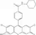 Fig. 27 - Development of ABCG2-Sensitive Fluorescent Probe For Isolation of ABCG2low Neural Stem/Progenitor Cells