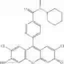 Fig. 28 - Development of ABCG2-Sensitive Fluorescent Probe For Isolation of ABCG2low Neural Stem/Progenitor Cells