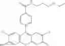 Fig. 29 - Development of ABCG2-Sensitive Fluorescent Probe For Isolation of ABCG2low Neural Stem/Progenitor Cells
