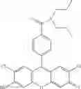 Fig. 30 - Development of ABCG2-Sensitive Fluorescent Probe For Isolation of ABCG2low Neural Stem/Progenitor Cells