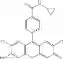 Fig. 31 - Development of ABCG2-Sensitive Fluorescent Probe For Isolation of ABCG2low Neural Stem/Progenitor Cells
