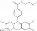 Fig. 32 - Development of ABCG2-Sensitive Fluorescent Probe For Isolation of ABCG2low Neural Stem/Progenitor Cells