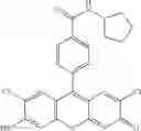 Fig. 33 - Development of ABCG2-Sensitive Fluorescent Probe For Isolation of ABCG2low Neural Stem/Progenitor Cells