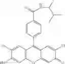Fig. 34 - Development of ABCG2-Sensitive Fluorescent Probe For Isolation of ABCG2low Neural Stem/Progenitor Cells